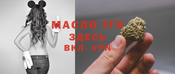кокс Богородицк