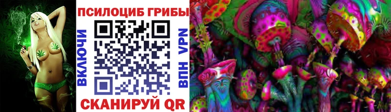 сколько стоит  Куртамыш  Псилоцибиновые грибы мицелий 